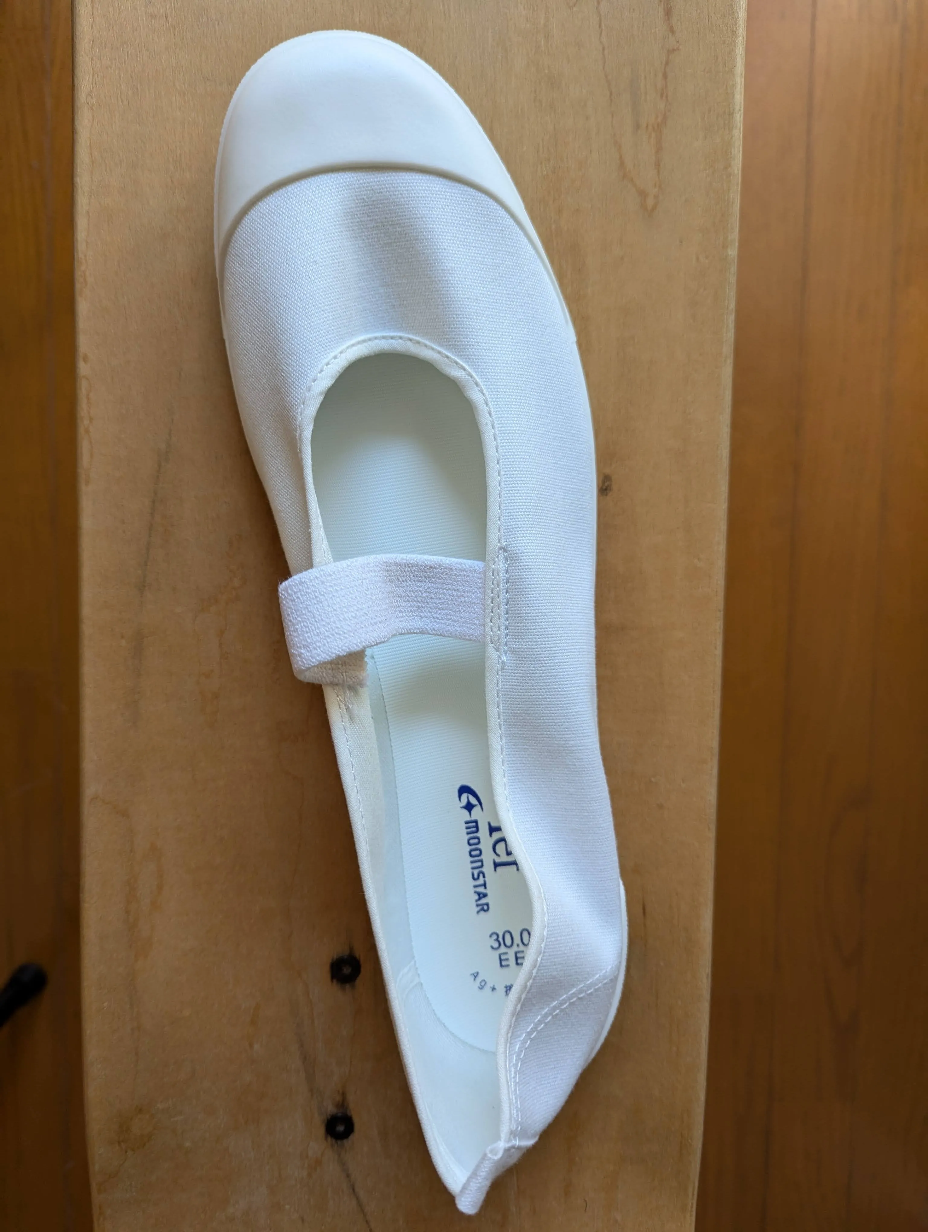 Uwabaki Type #01 [White]  Japan made school indoor shoes